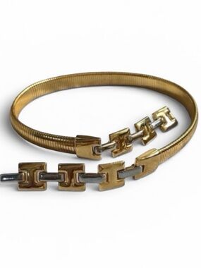 Accessory Accent NYC Vintage Gold and Silver Omega Chain Belt